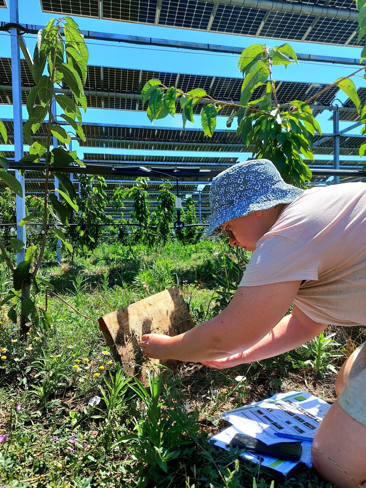 ingenieure agro sur le terrain