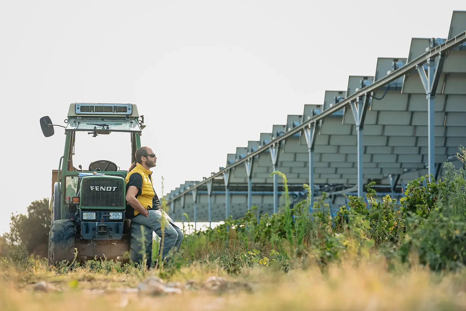tracteur-agricole-viticulture