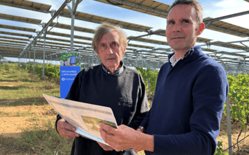 Des panneaux solaires pour protéger les vignes de la chaleur et du froid