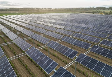 Un projet agrivoltaïque de Sun