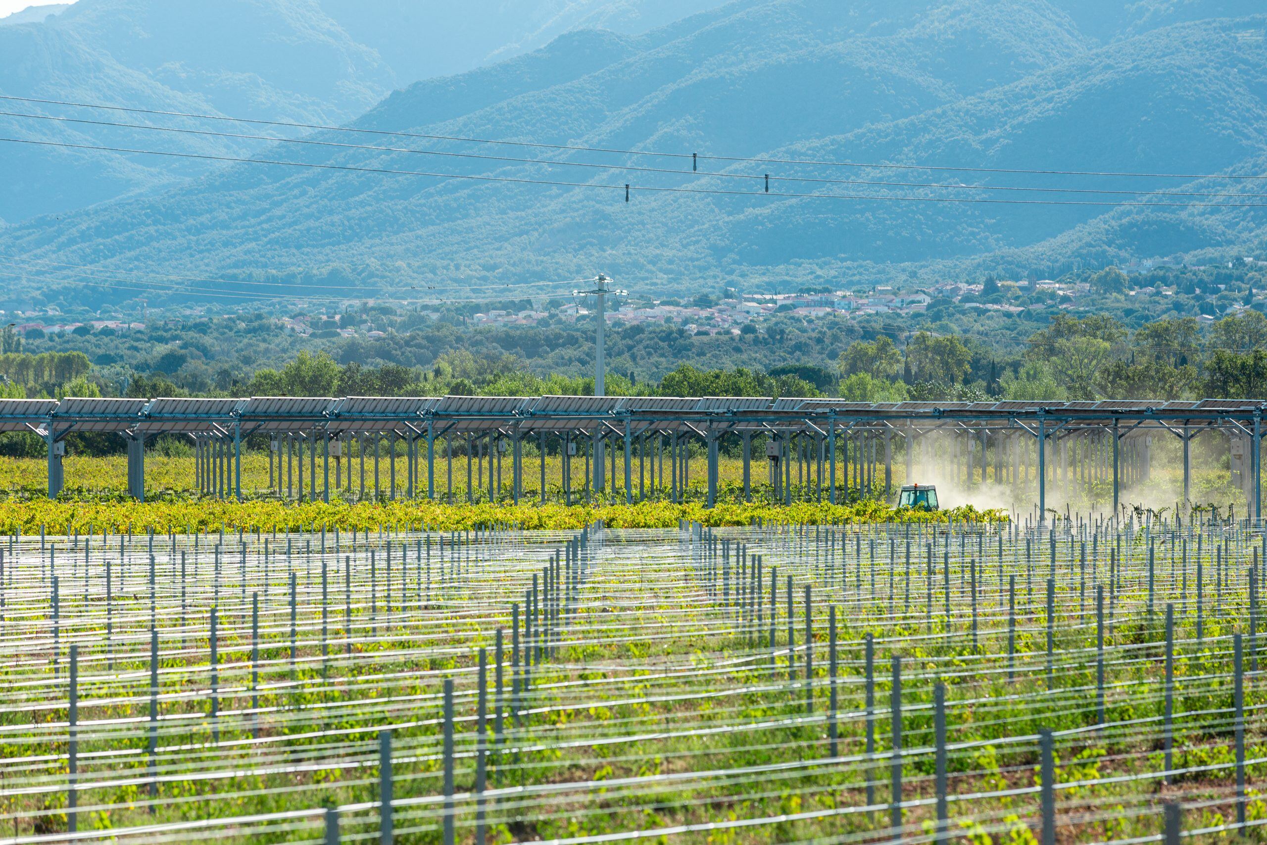 Démonstrateur-agrivoltaïque_Tresserre_sur-vignes_Crédit-photo-SunAgri-22-scaled
