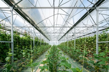 Sept projets innovants d’agrivoltaïsme dynamique, portés par l’AREC Occitanie en association avec son partenaire Sun’Agri, lauréats de l’appel d’offre Innovation de la CRE
