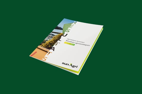 Vendanges 2025 : +28% de rendement avec l