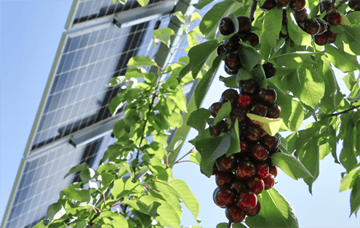 Radio Classique : 3 minutes pour la planète sur l