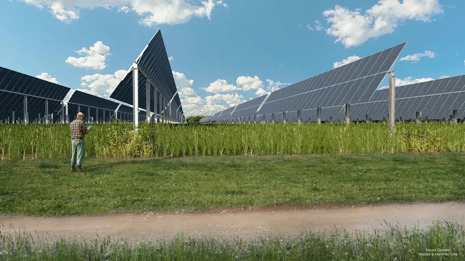 agrivoltaisme-sur-ble