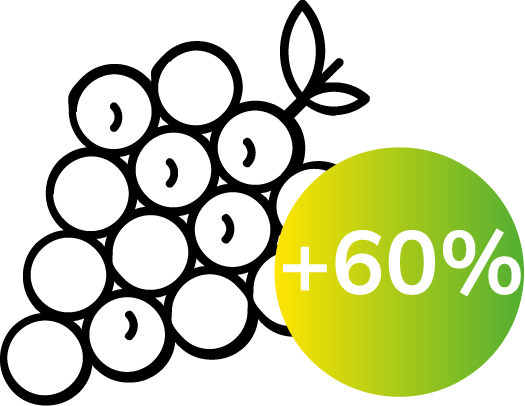 Grapes - 60%