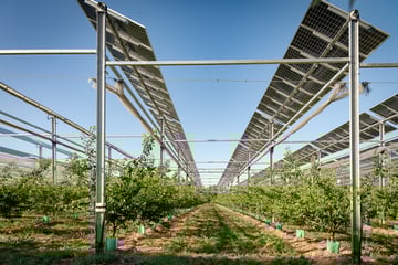 Labellisation agrivoltaïque : le 2e palier de certification AFNOR est attribué pour la première fois à un projet de Sun’Agri à Loriol sur Drôme