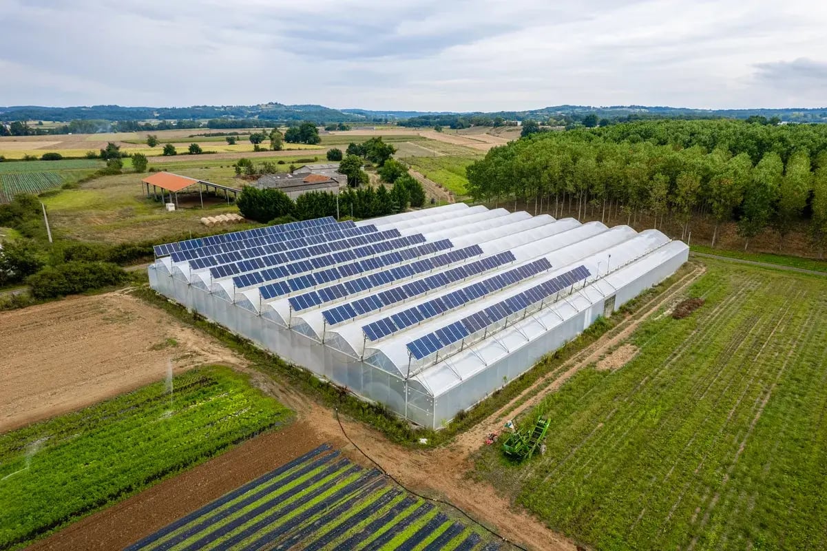 vue-drone-serre-agrivoltaique