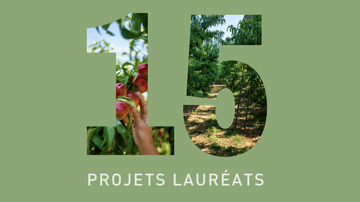 15 projets Sun