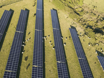 Opinion | L‘agrivoltaïsme, une solution pour répondre aux défis climatiques