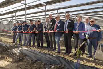 Sun’Agri inaugure dans le Vaucluse le premier dispositif agrivoltaïque dynamique mondial sur cultures d’abricots bio