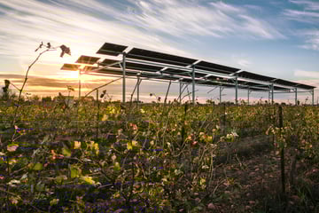 Solutions climatiques en agriculture : impacts et adaptations - 1/3