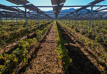 La 1ère centrale vitivoltaïque inaugurée