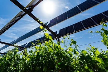 La Commission de régulation de l’énergie confirme la montée en régime de l’agrivoltaïsme et récompense 22 projets utilisant la technologie de Sun’Agri