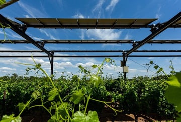 La technologie agrivoltaïque de Sun’Agri reconnue comme solution d’adaptation aux changements climatiques