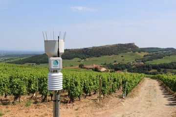Météo agricole : la technologie ouvre le champ des possibles