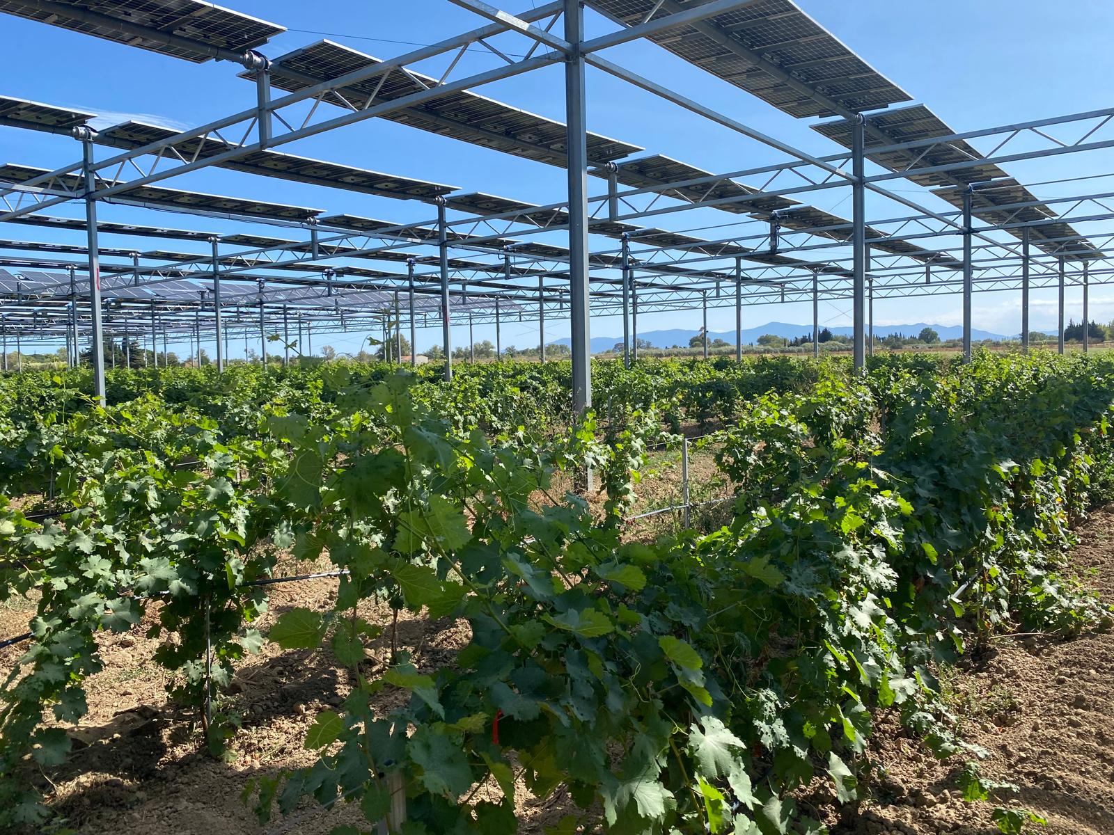 Installation agrivoltaïque de Claira