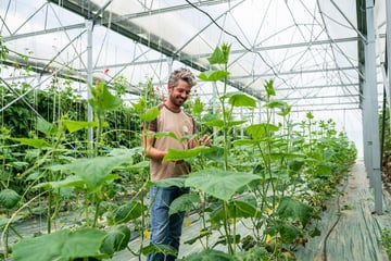 Serres agrivoltaïques à Granges-sur-Lot : quels sont les résultats concrets ?