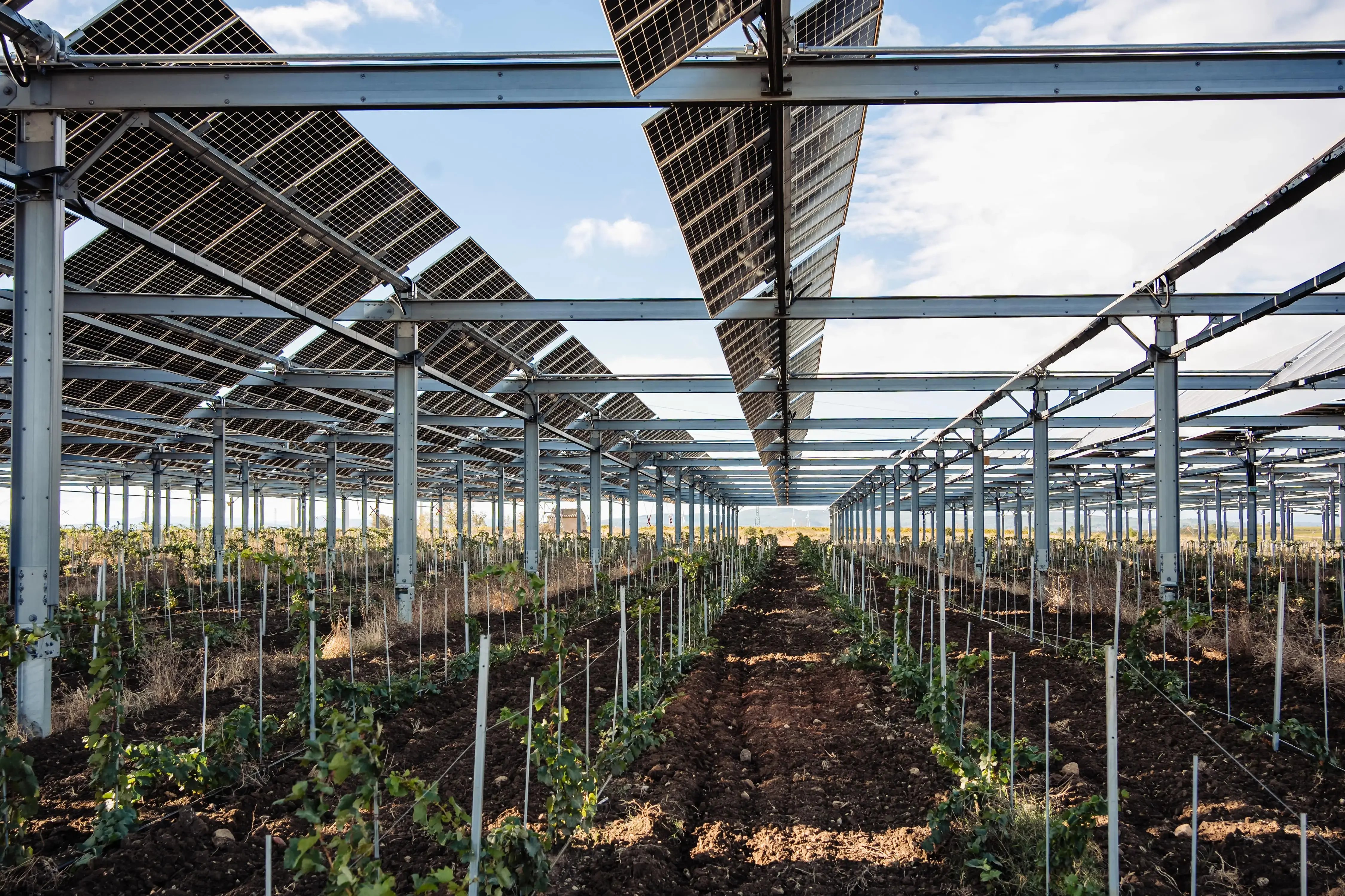 installation agrivoltaique de sunagri au chateau la domeque cruscades
