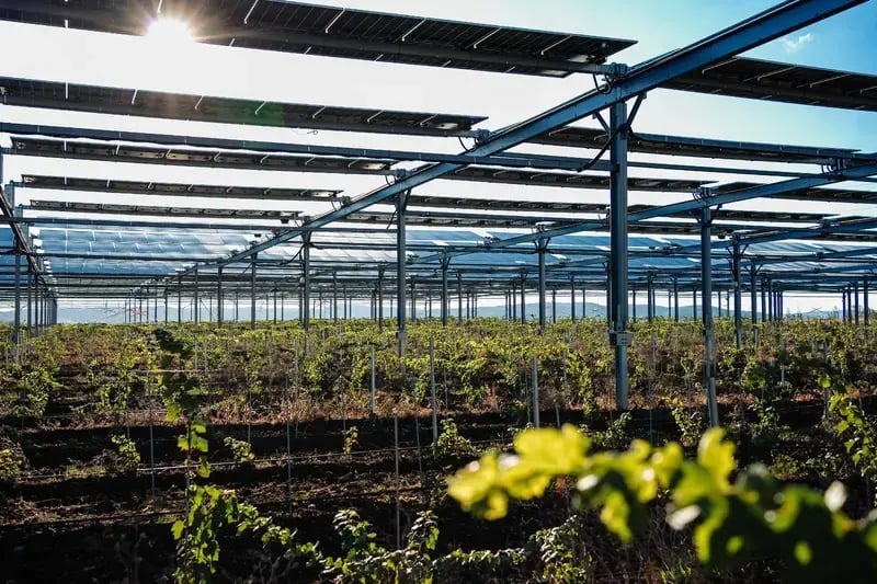 Vue sous structure agrivoltaïque
