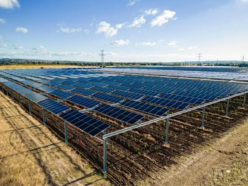 Vue drône de l'installation agrivoltaïque de La Domèque
