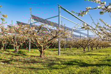Agrivoltaïsme : freins et solutions pour son développement