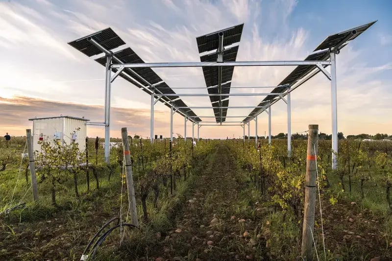 Vue latérale de la structure agrivoltaïque sur vigne de Rodilhan