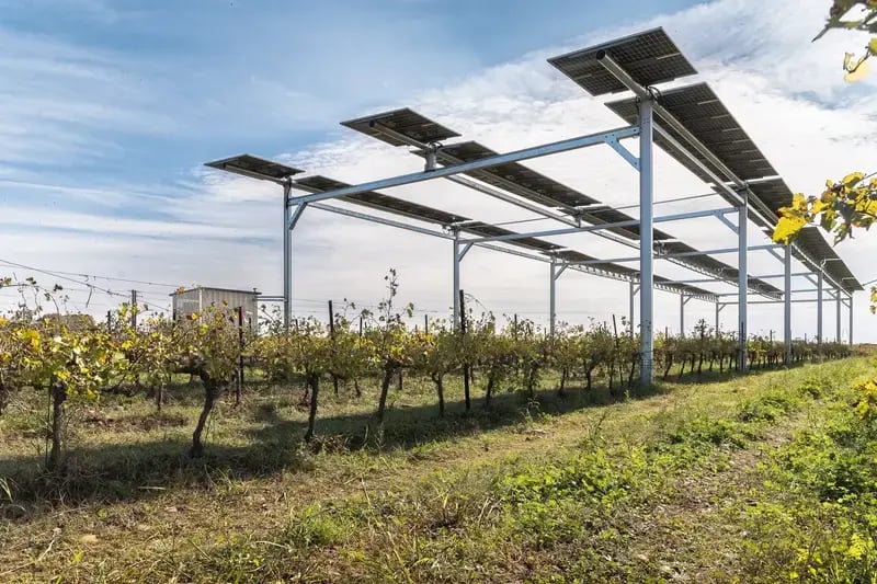 Vue latérale de l'installation agrivoltaïque sur vigne du lycée agricole Marie Durand