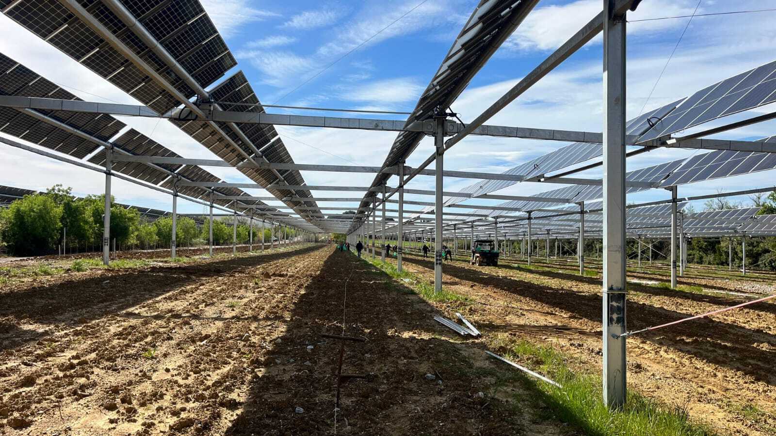 Projet agrivoltaique alix du roure sunagri servian