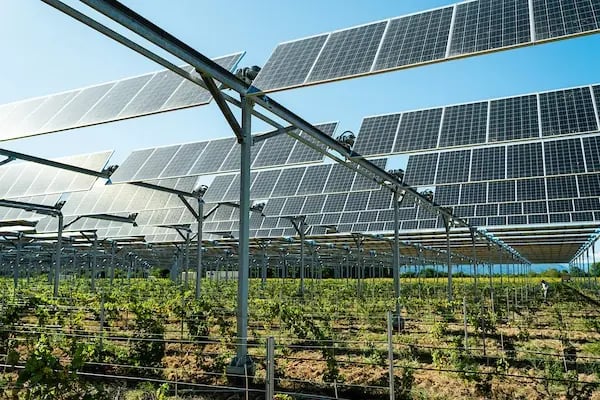 installation agrivoltaique sur vignes de sunagri a tresserre