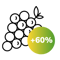 Raisin 45% (1)