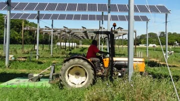 L’agrivoltaïsme, une solution pour stopper la destruction des terres agricoles