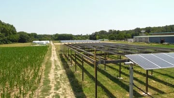 Les panneaux solaires au secours de l’agriculture méditerranéenne