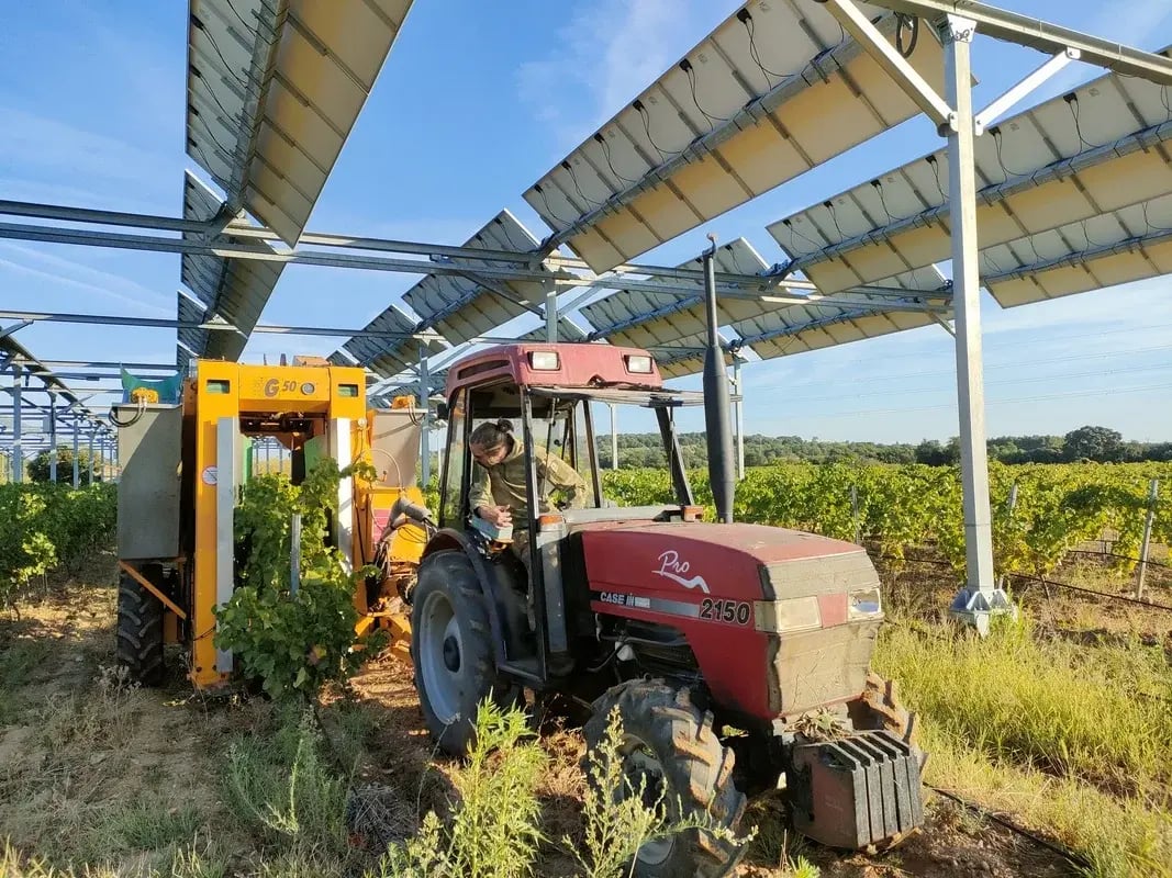 vendangeuse-sous-panneaux-agrivoltaiques