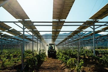 Sun’Agri et RGreen survolent l’appel d’offres Innovation