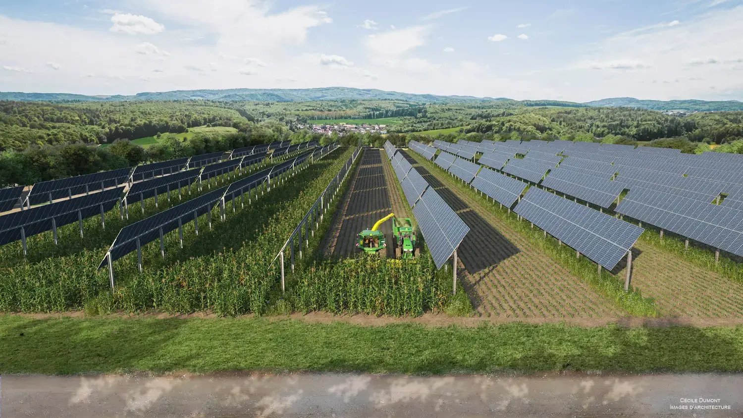 agrivoltaisme-dynamique-mais