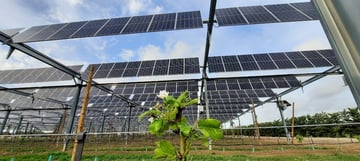 Sun’Agri se renforce sur la modélisation agronomique