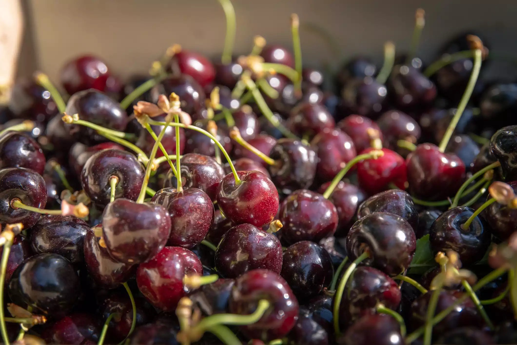 cerises