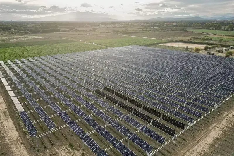 Vue drone de l'installation agrivoltaïque de Claira