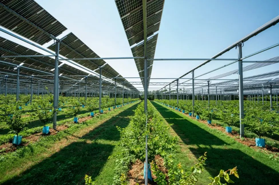 etoile-sur-rhone-agrivoltaisme