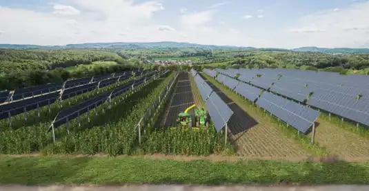 grandes-cultures-mais