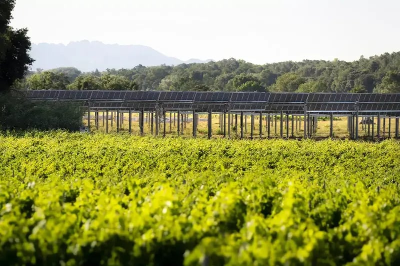 Vue de loin de l'installation agrivoltaïque de Saint-Restitut