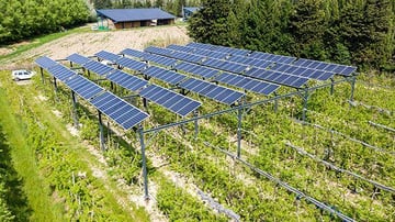L’agrivoltaïsme dynamique, une technologie qui protège les cultures agricoles des aléas climatiques