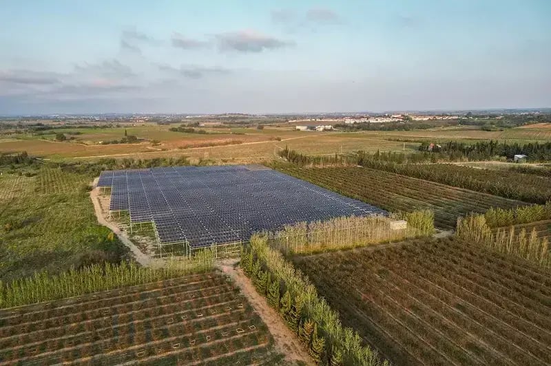 Vue drone de l'installation agrivoltaïque de Llupia