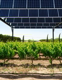 La difficile quête de terrains pour implanter les parcs éoliens et solaires