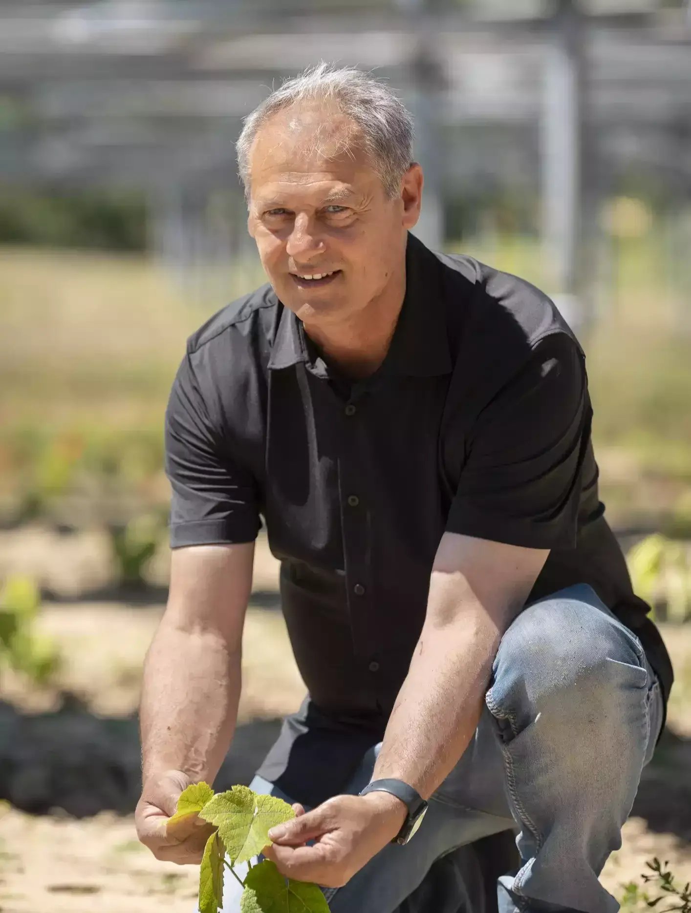 Patrick Daniel avec ses jeunes plants de vignes sous protection agrivoltaïque