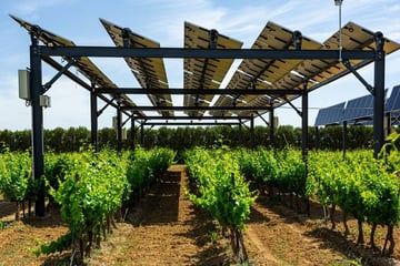 Solar Impulse : Sun’Agri labellisé par la fondation de Bertrand Piccard
