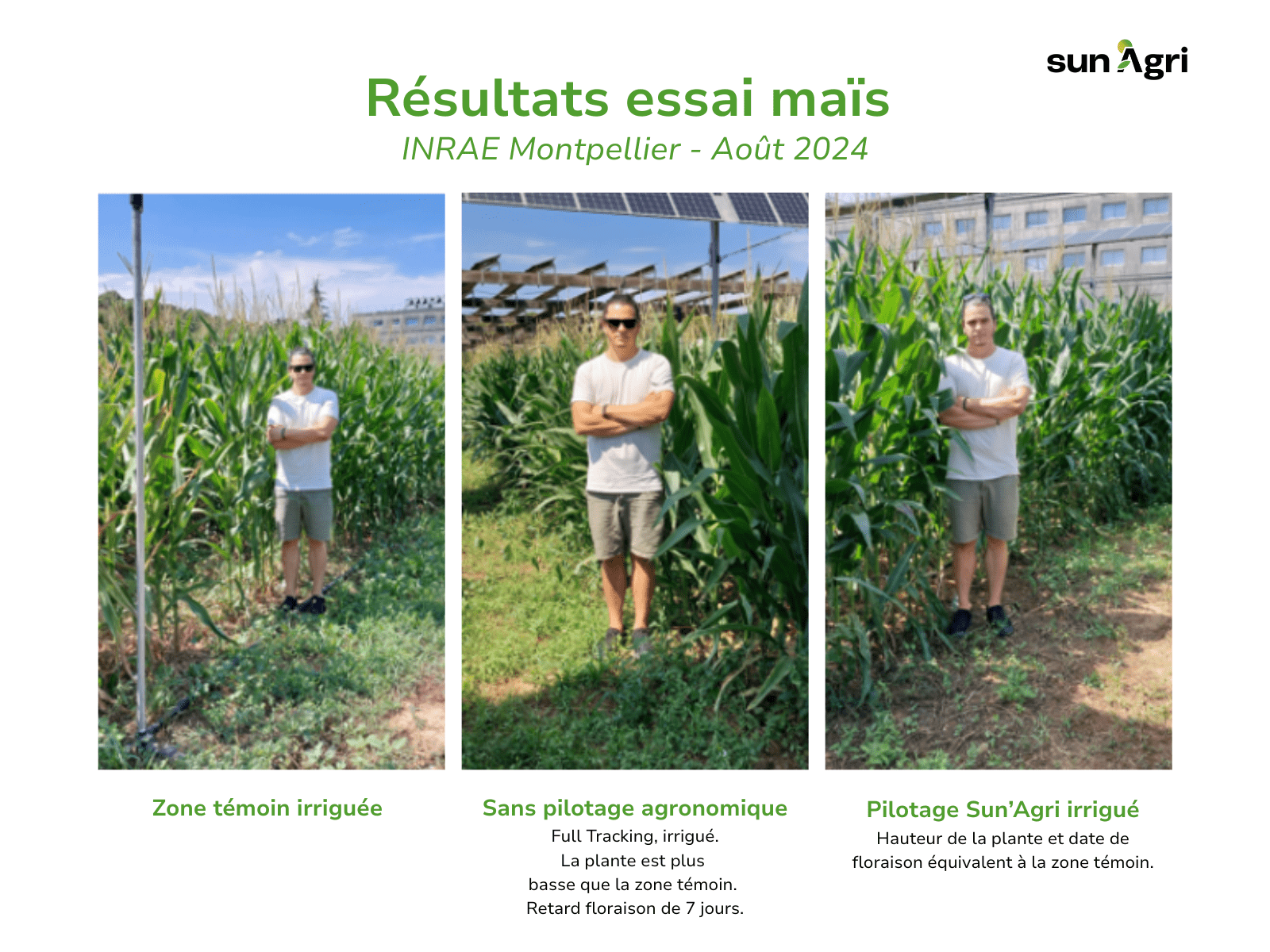 Comparaison zone témoin, full tracking et agrivoltaïsme dynamique sur maïs