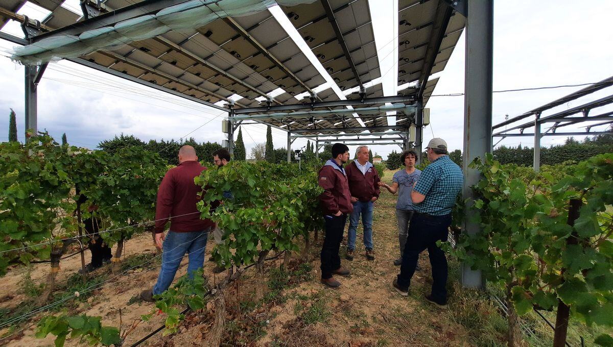 « Vous avez dix ans d’avance », des Américains visitent une installation photovoltaïque à Piolenc