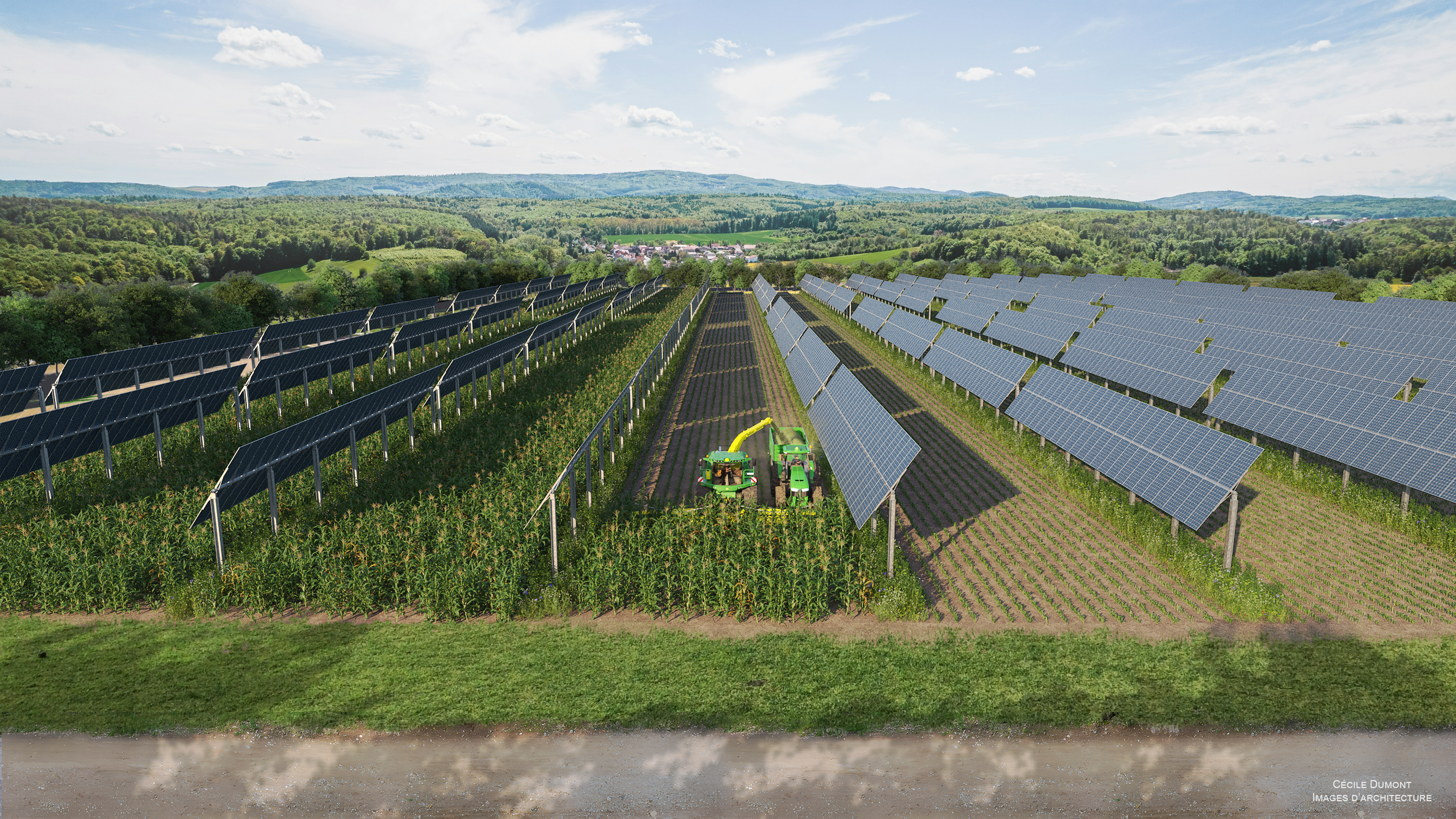 Agrivoltaïsme sur grandes cultures : réponse au changement climatique
